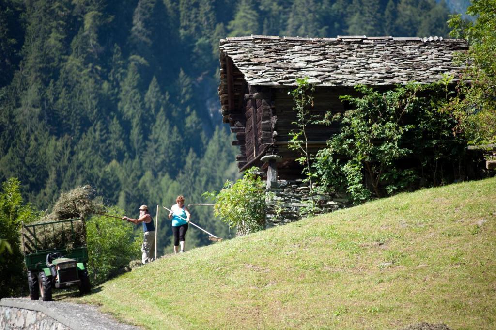Albergo Castello Da Bonino Champorcher Habitación foto